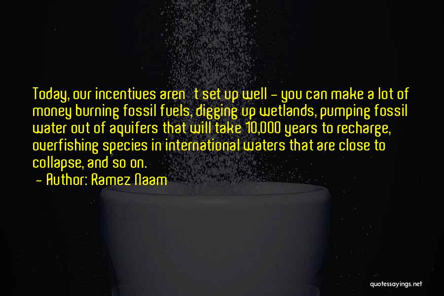 Fossil Fuels Quotes By Ramez Naam