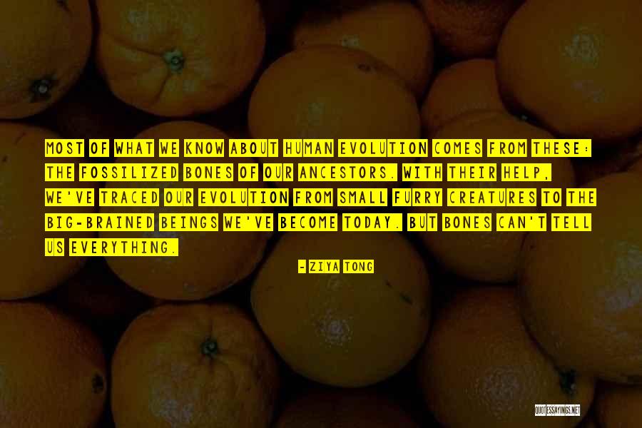 Fossilized Quotes By Ziya Tong Fossilized Quotes By Ziya Tong