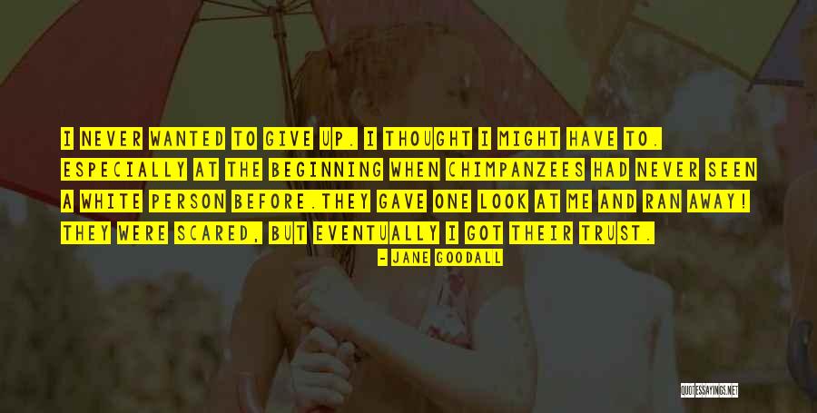 Fossoway Stables Quotes By Jane Goodall Fossoway Stables Quotes By Jane Goodall