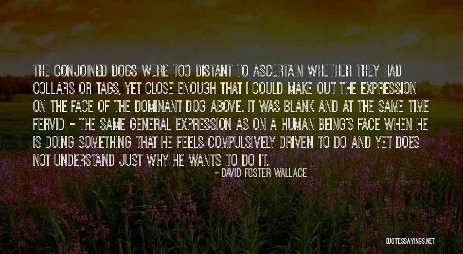 Foster Dogs Quotes By David Foster Wallace Foster Dogs Quotes By David Foster Wallace