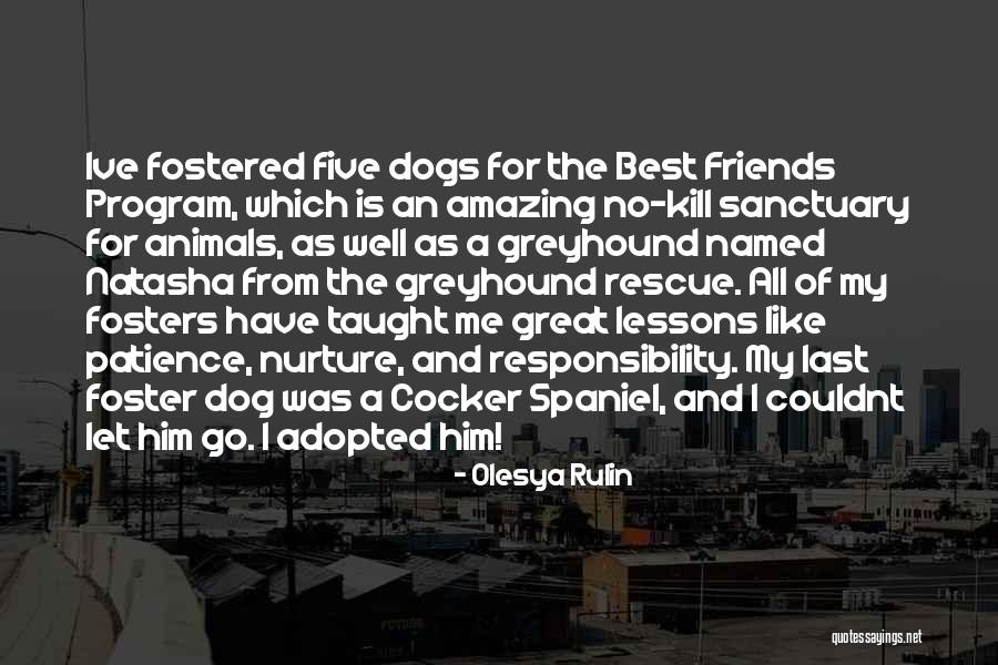 Foster Dogs Quotes By Olesya Rulin Foster Dogs Quotes By Olesya Rulin