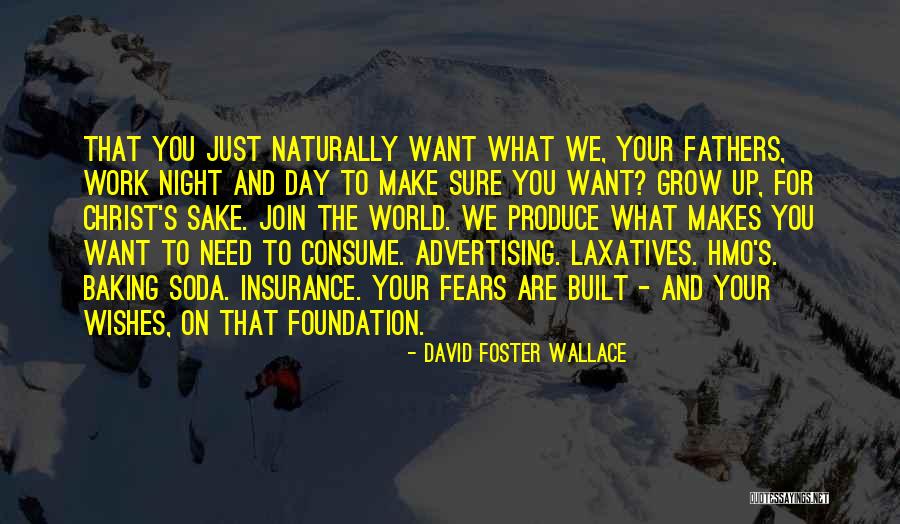 Foster Fathers Quotes By David Foster Wallace