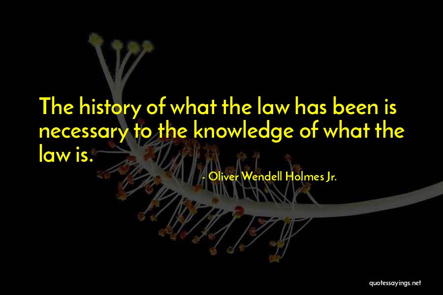 Fostering Relationship With Absent Quotes By Oliver Wendell Holmes Jr. Fostering Relationship With Absent Quotes By Oliver Wendell Holmes Jr.