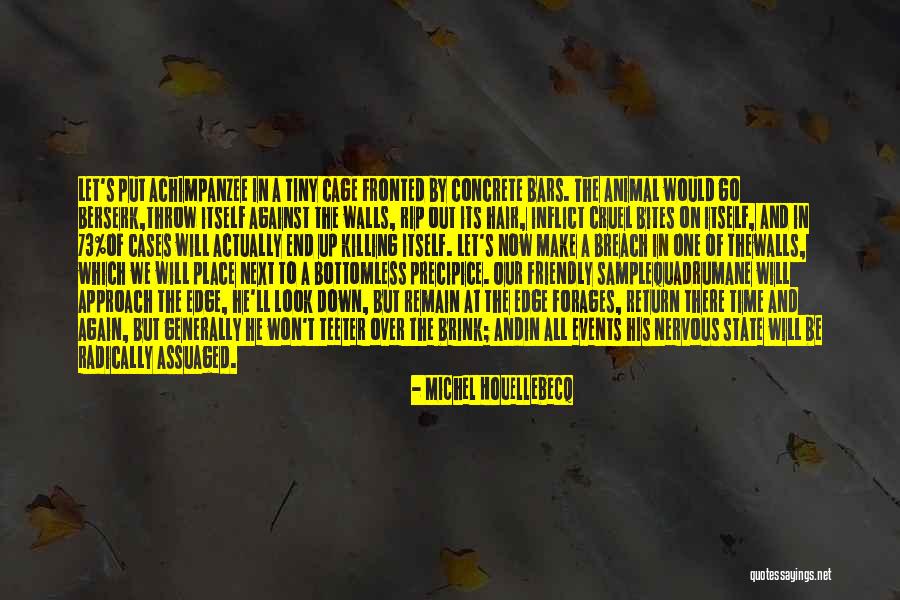 Fotbollskort Quotes By Michel Houellebecq