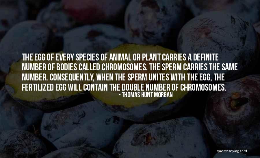 Fotheringham Illustrator Quotes By Thomas Hunt Morgan Fotheringham Illustrator Quotes By Thomas Hunt Morgan