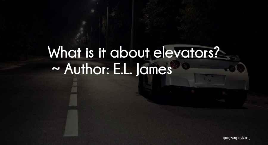 Fouillard Quotes By E.L. James