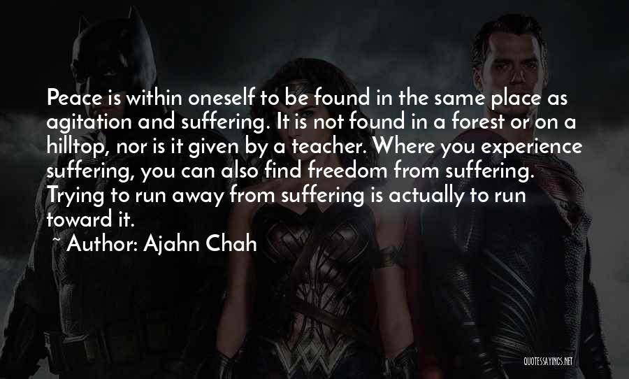 Found In You Quotes By Ajahn Chah