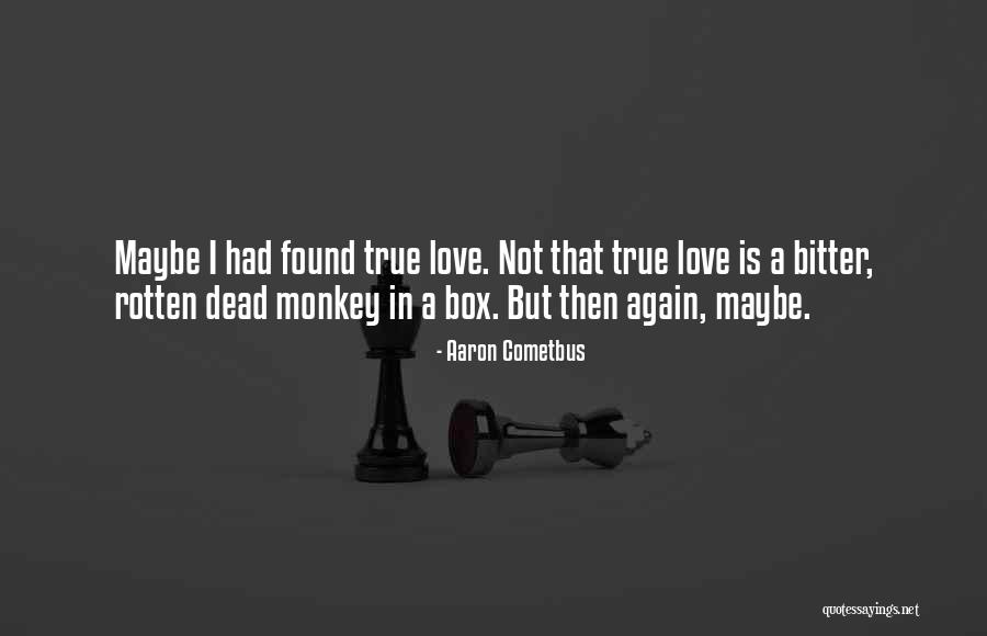 Found Love Again Quotes By Aaron Cometbus Found Love Again Quotes By Aaron Cometbus