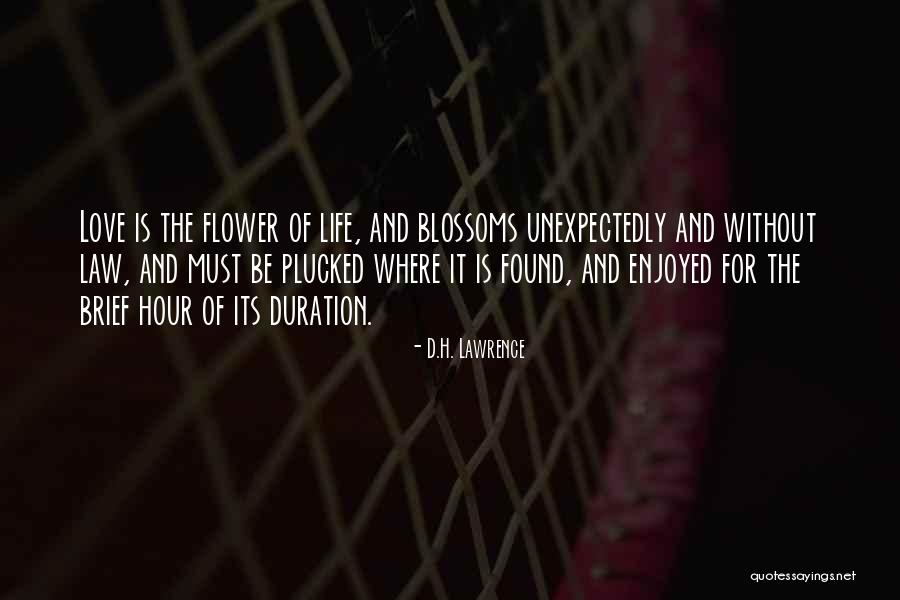 Found Love Unexpectedly Quotes By D.H. Lawrence Found Love Unexpectedly Quotes By D.H. Lawrence