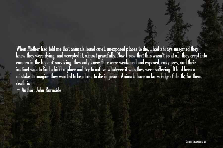 Found Peace Quotes By John Burnside