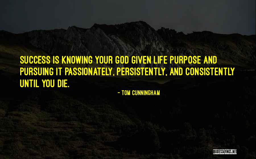 Foundation And Success Quotes By Tom Cunningham Foundation And Success Quotes By Tom Cunningham