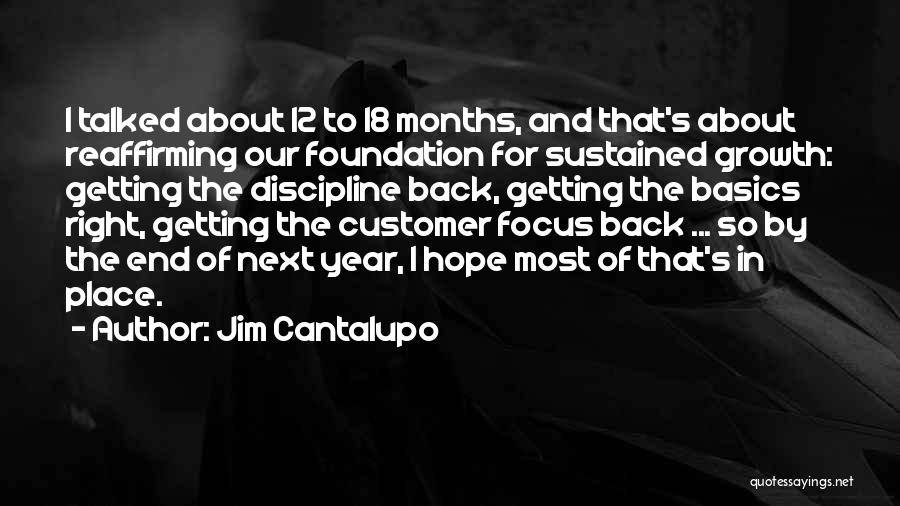 Foundation For Growth Quotes By Jim Cantalupo