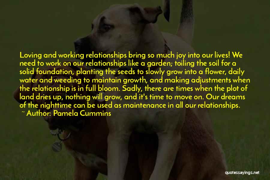 Foundation For Growth Quotes By Pamela Cummins