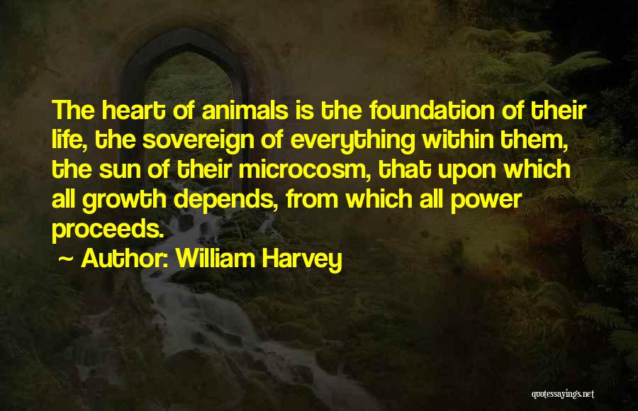 Foundation For Growth Quotes By William Harvey