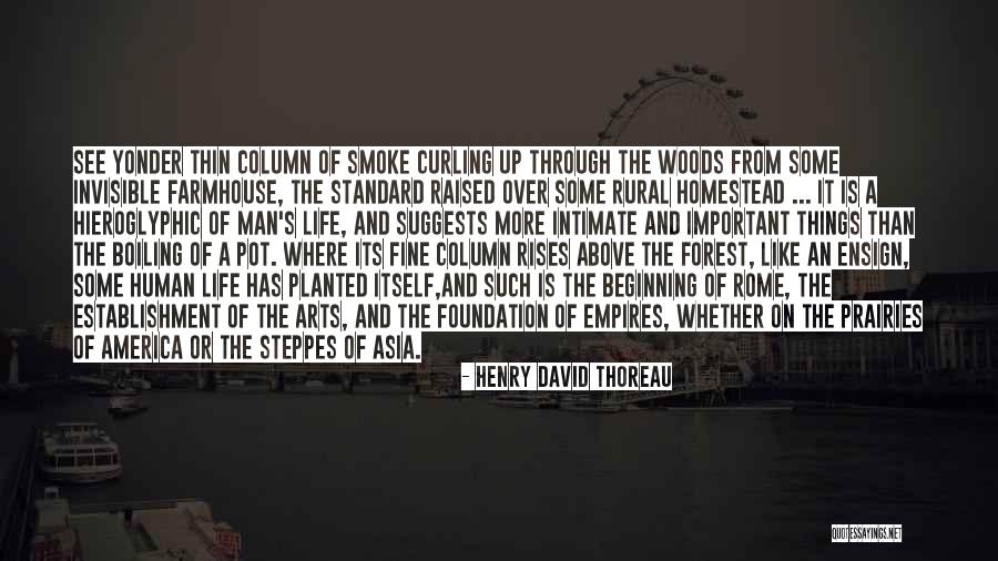 Foundation Important Quotes By Henry David Thoreau Foundation Important Quotes By Henry David Thoreau