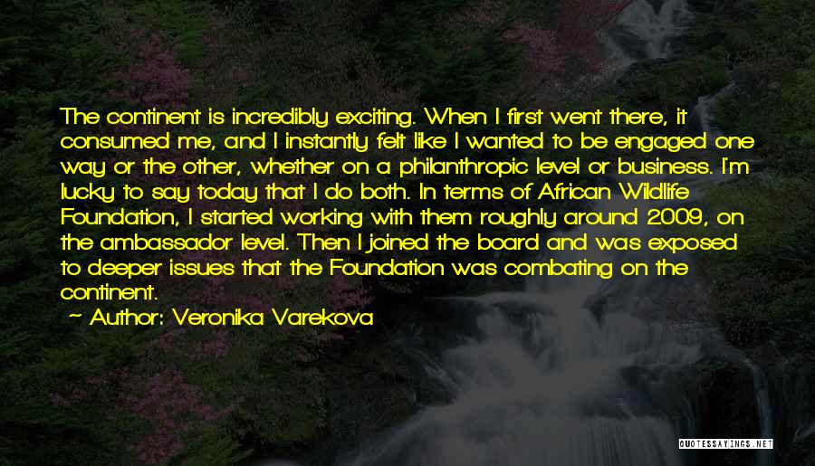 Foundation In Business Quotes By Veronika Varekova