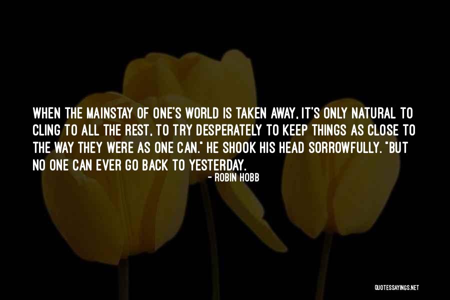 Founder Of Ikea Quotes By Robin Hobb