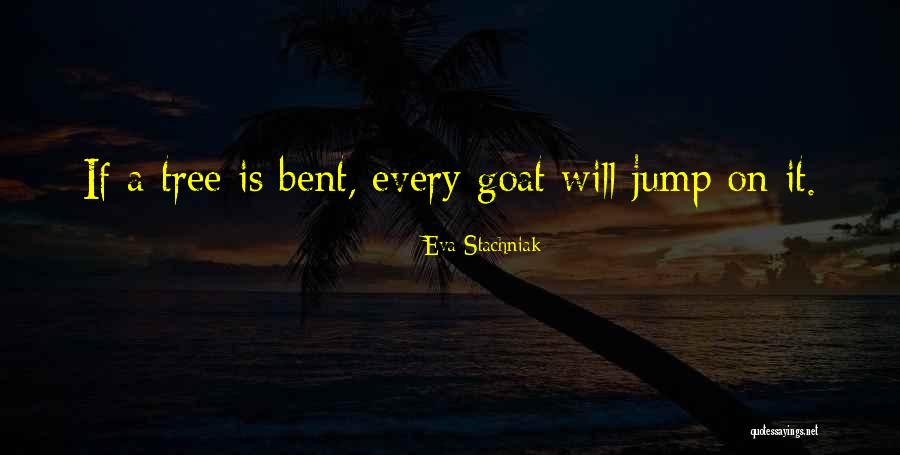 Founders Militia Quotes By Eva Stachniak Founders Militia Quotes By Eva Stachniak
