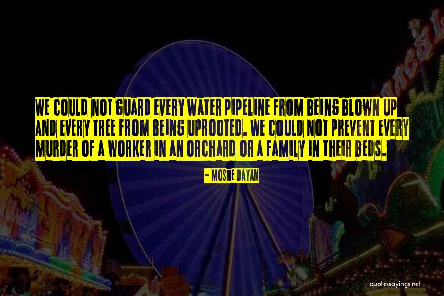 Fountainheads Light Quotes By Moshe Dayan Fountainheads Light Quotes By Moshe Dayan
