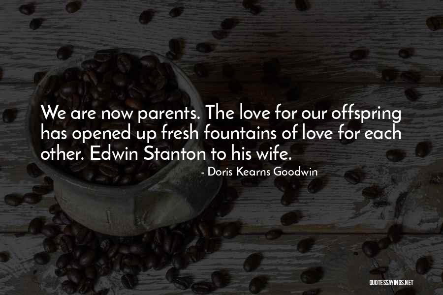 Fountains And Love Quotes By Doris Kearns Goodwin