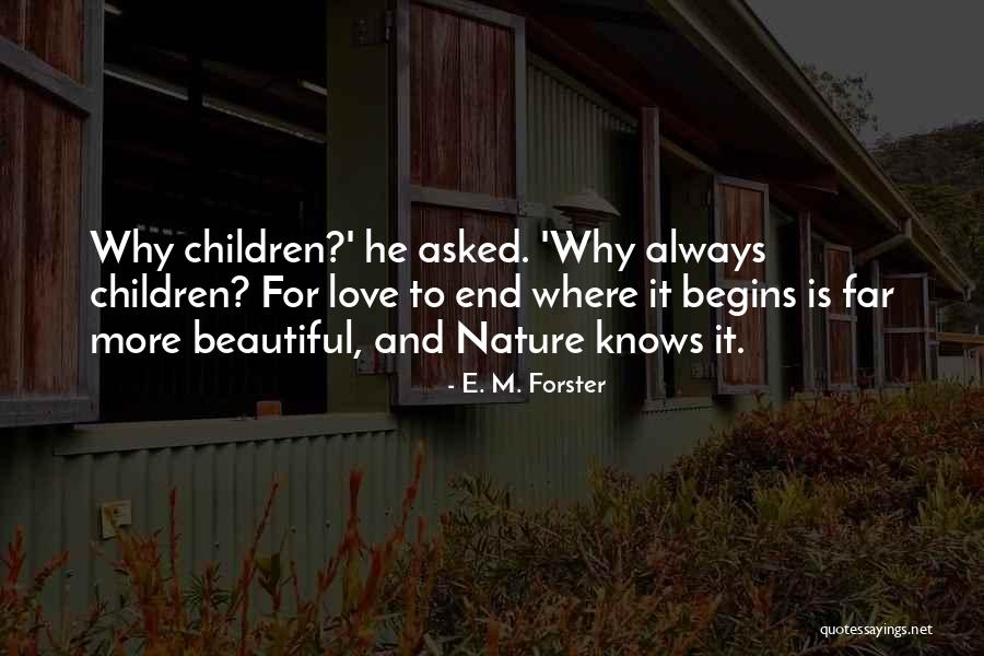 Fountains Of Silence Quotes By E. M. Forster