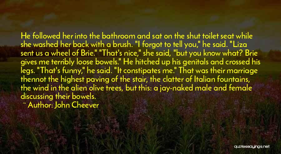 Fountains Quotes By John Cheever