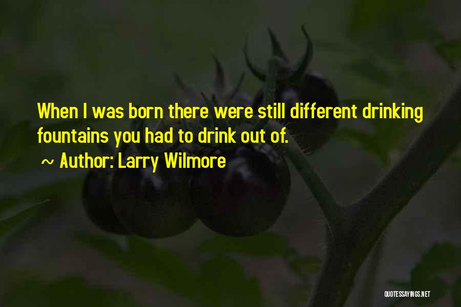 Fountains Quotes By Larry Wilmore