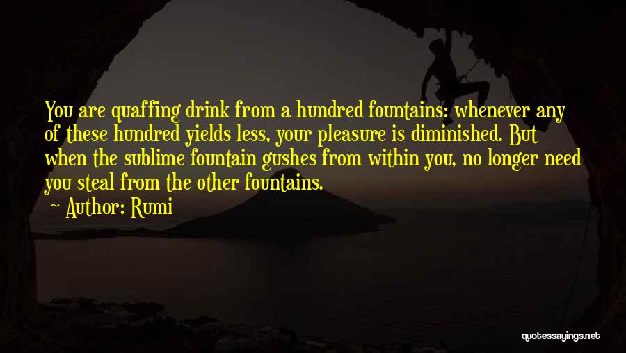 Fountains Quotes By Rumi