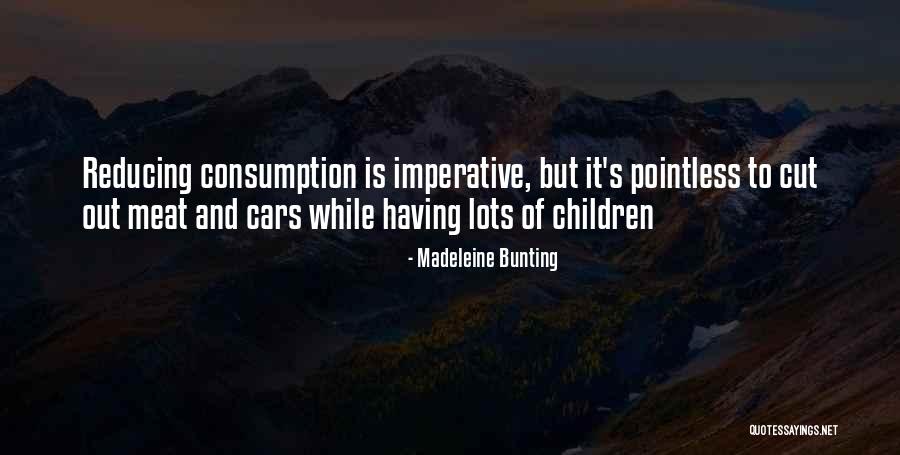 Four Horsemen 2012 Quotes By Madeleine Bunting Four Horsemen 2012 Quotes By Madeleine Bunting