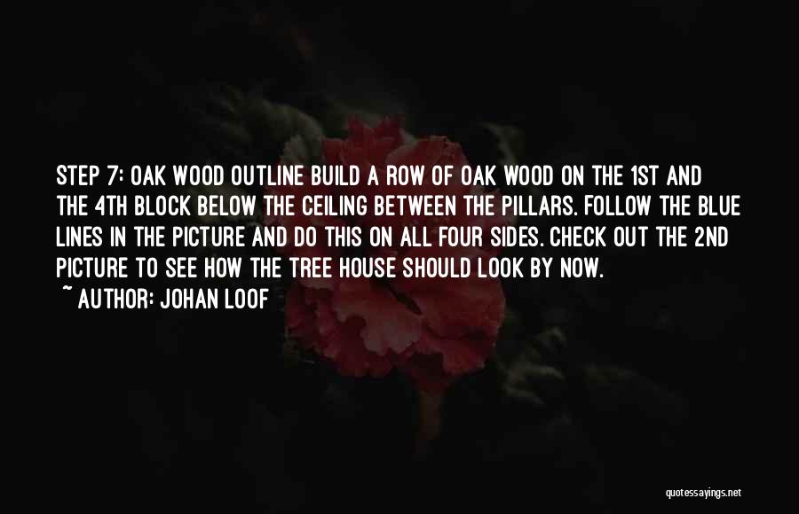 Four Pillars Quotes By Johan Loof