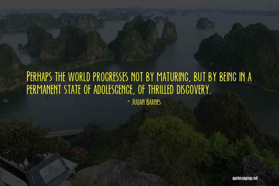 Fournaise Stelpro Quotes By Julian Barnes Fournaise Stelpro Quotes By Julian Barnes