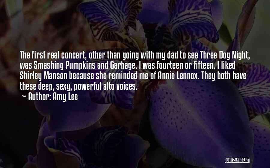 Fourteen Quotes By Amy Lee