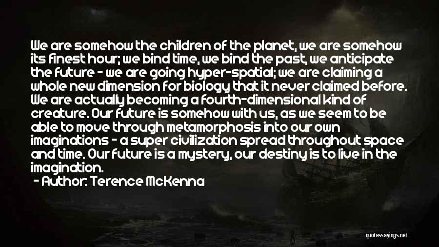 Fourth Dimension Quotes By Terence McKenna