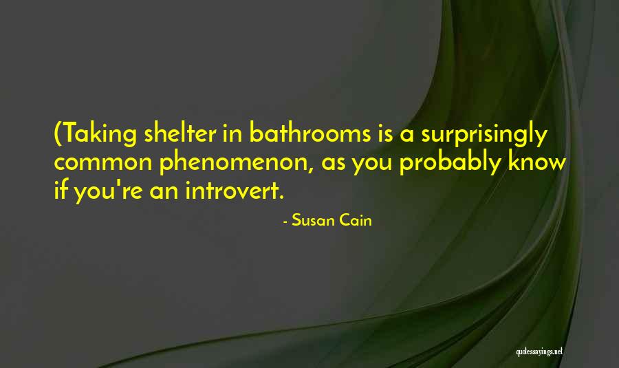 Foux De Fa Quotes By Susan Cain Foux De Fa Quotes By Susan Cain