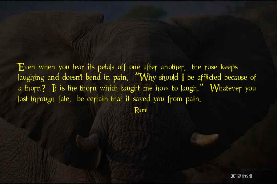 Fowlers Positioning Quotes By Rumi Fowlers Positioning Quotes By Rumi