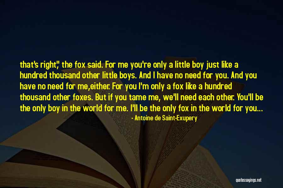 Fox Like It Or Not Quotes By Antoine De Saint-Exupery Fox Like It Or Not Quotes By Antoine De Saint-Exupery