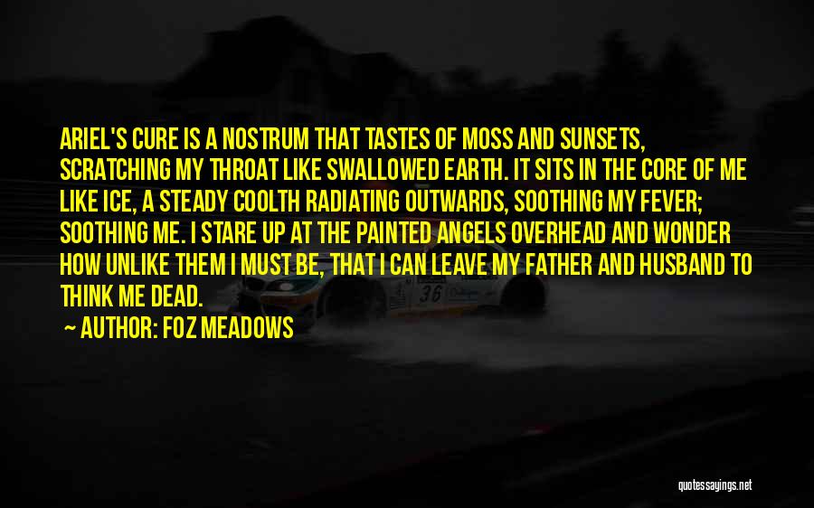 Foz Meadows Quotes 1976349