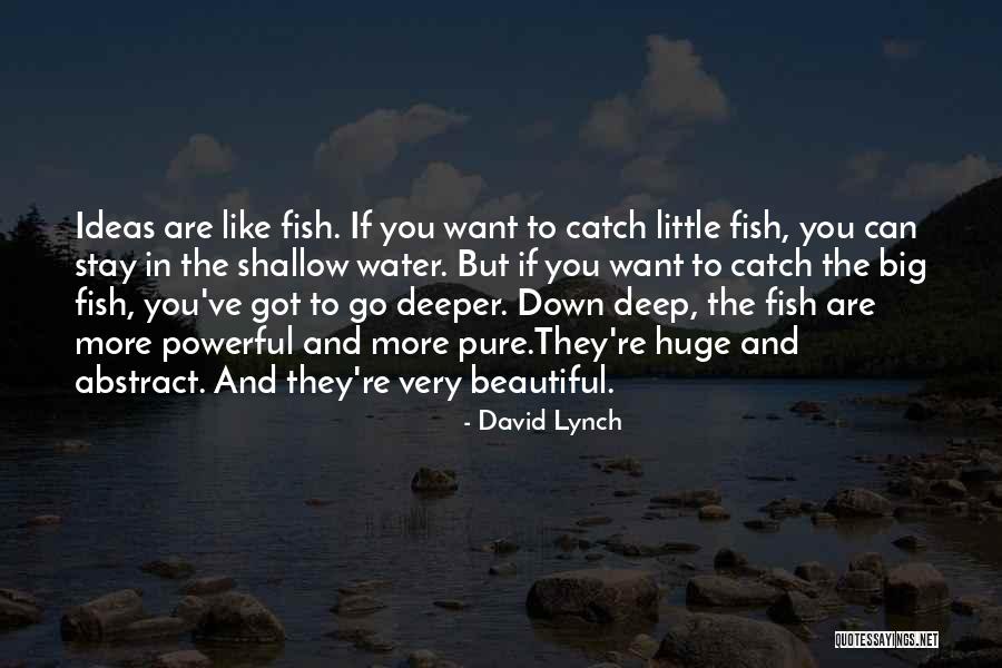 Fpay Yahoo Quotes By David Lynch Fpay Yahoo Quotes By David Lynch