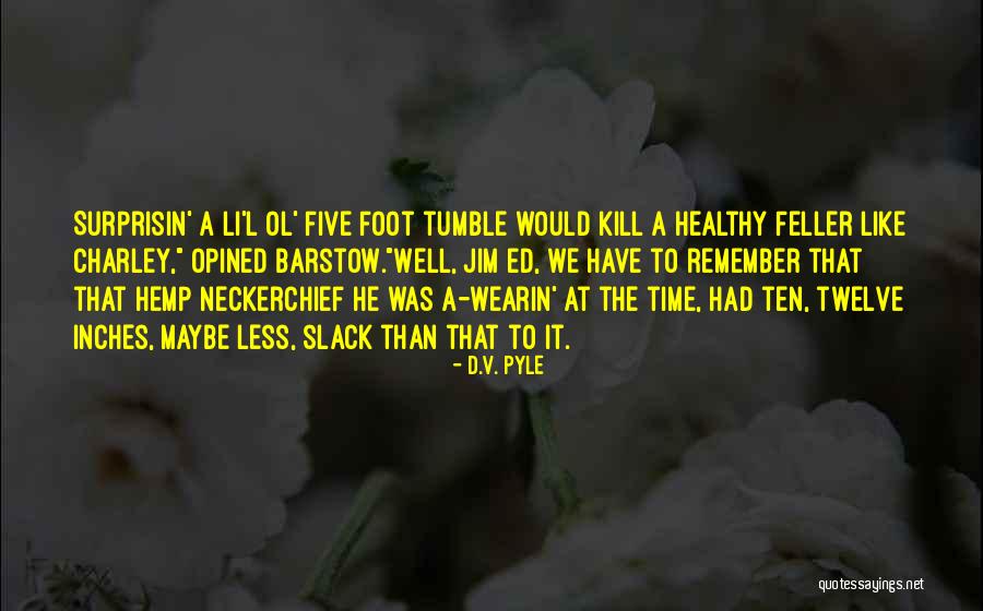 Fraa Quotes By D.V. Pyle Fraa Quotes By D.V. Pyle