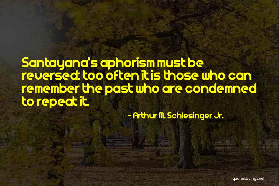 Fraai Destelbergen Quotes By Arthur M. Schlesinger Jr.