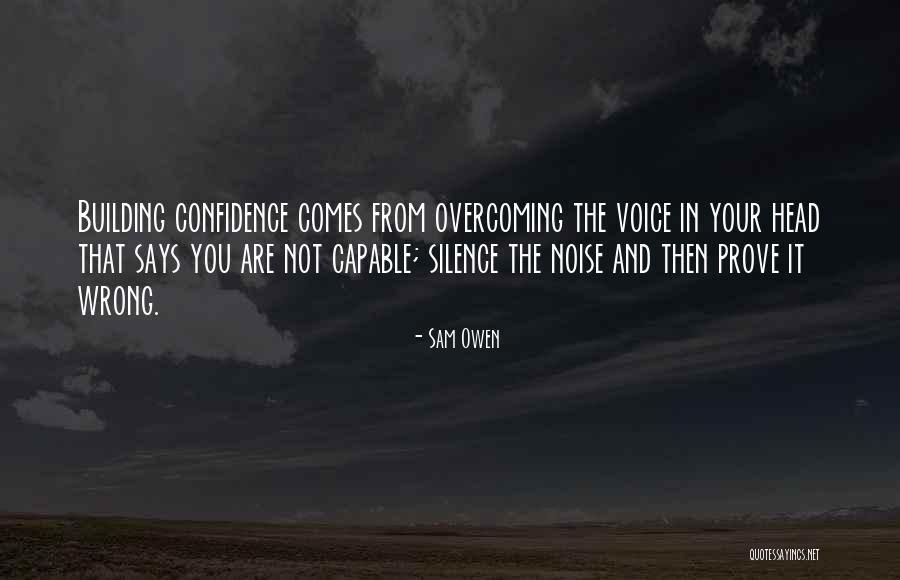 Fraai Destelbergen Quotes By Sam Owen