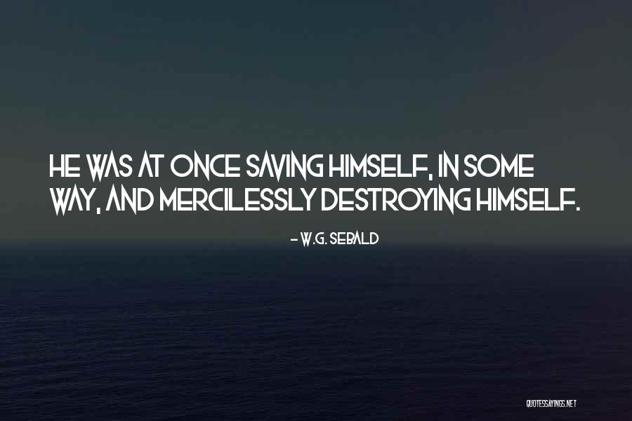 Fracaso Sinonimo Quotes By W.G. Sebald Fracaso Sinonimo Quotes By W.G. Sebald