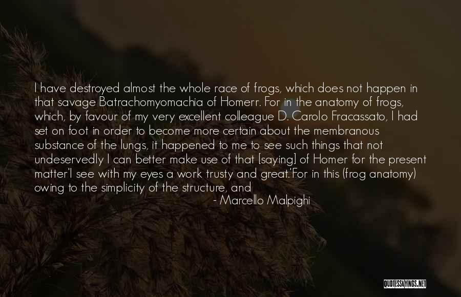 Fracassato Quotes By Marcello Malpighi Fracassato Quotes By Marcello Malpighi
