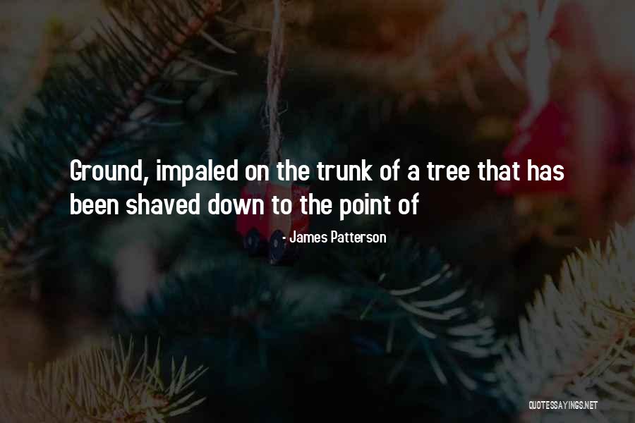 Fracino Cybercino Quotes By James Patterson Fracino Cybercino Quotes By James Patterson