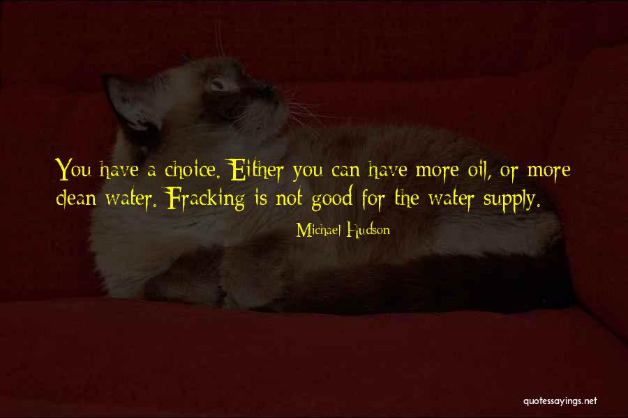 Fracking Quotes By Michael Hudson