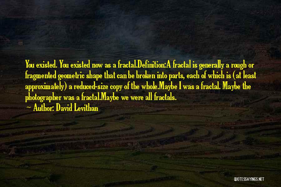 Fractal Quotes By David Levithan
