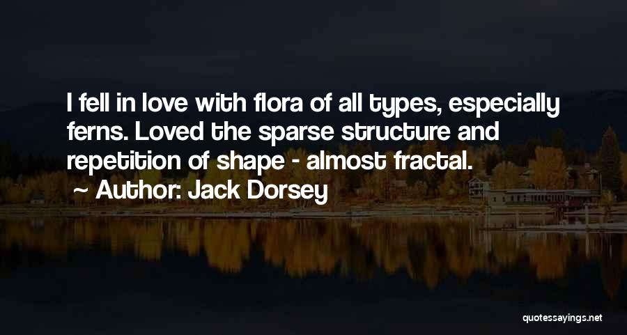 Fractal Quotes By Jack Dorsey