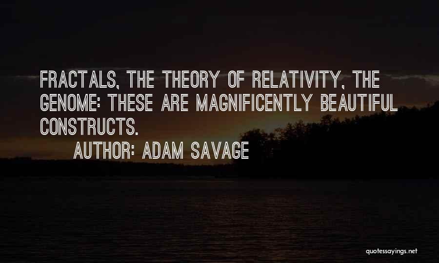 Fractals Quotes By Adam Savage