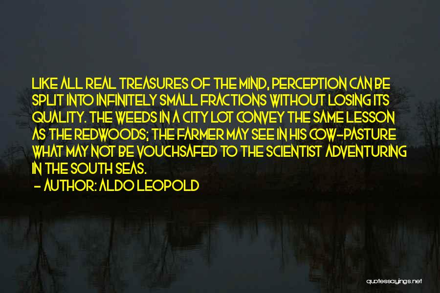 Fractions Quotes By Aldo Leopold