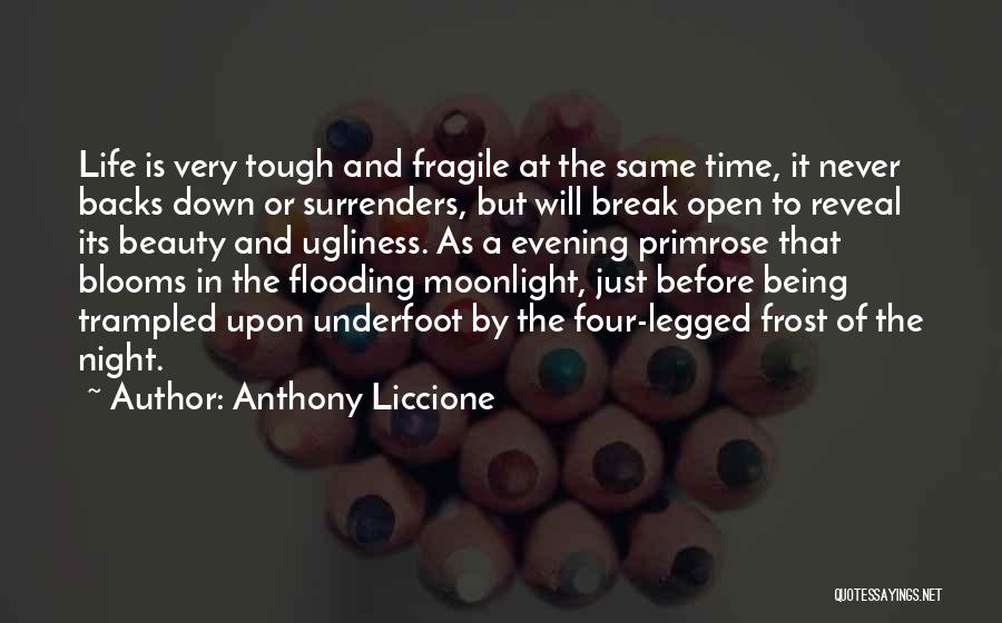 Fragile Flower Quotes By Anthony Liccione